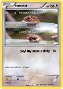 hamster