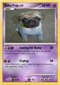 Baby Pug