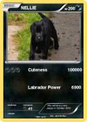 NELLIE