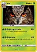 owl