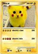Pikacat