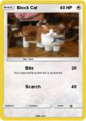 Block Cat