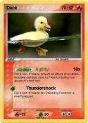 Duck