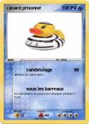 canard prisonie