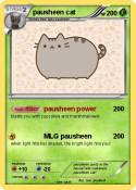pausheen cat