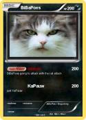 BiBaPoes