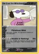 Joe Cool the