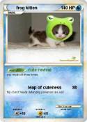 frog kitten