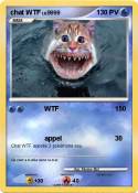 chat WTF