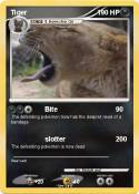 Tiger