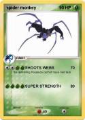 spider monkey