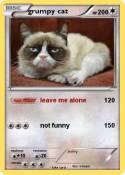 grumpy cat