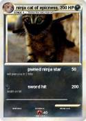 ninja cat of