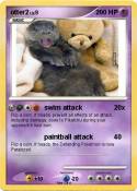 otter2