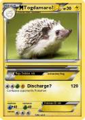 Togdamaro?