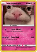 orenaugenkatze