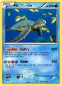 Mr. Turtle