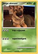 berger allemand
