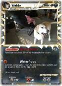 Waldo