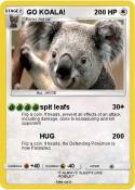 GO KOALA!