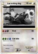Cat kicking