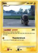 bark