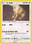 mr doge