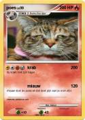poes