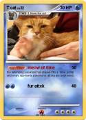 T cat