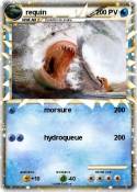 requin
