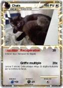 Chats