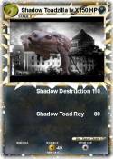 Shadow