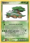 Torterra x