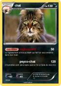 chat