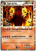 Tigre de feu