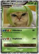Warrior Cat