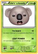 Cole’s a koaala