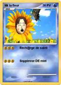 Mr la fleur