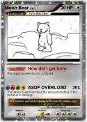 Moon Bear