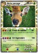 Biche sauvage