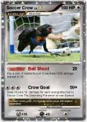 Soccer Crow