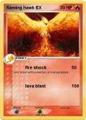 flaming hawk EX