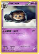 chat caché