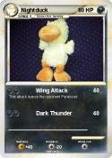 Nightduck