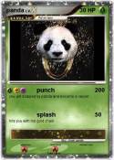 panda