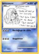 terre-neuve