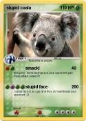 stupid coala