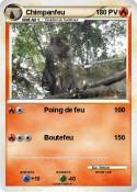 Chimpanfeu
