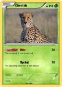 Cheetah
