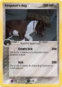 Kingston's dog